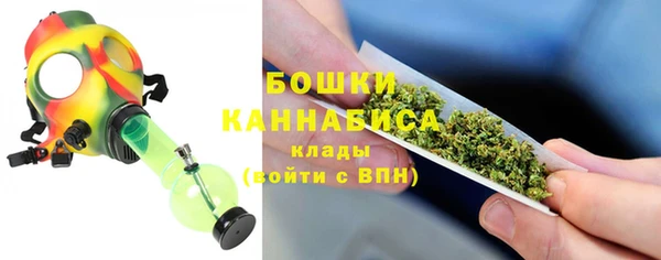PSILOCYBIN Ельня