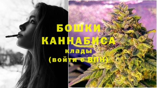 mdma Заводоуковск