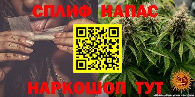 стафф Гатчина
