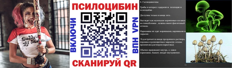 Псилоцибиновые грибы Psilocybine cubensis  Зерноград 