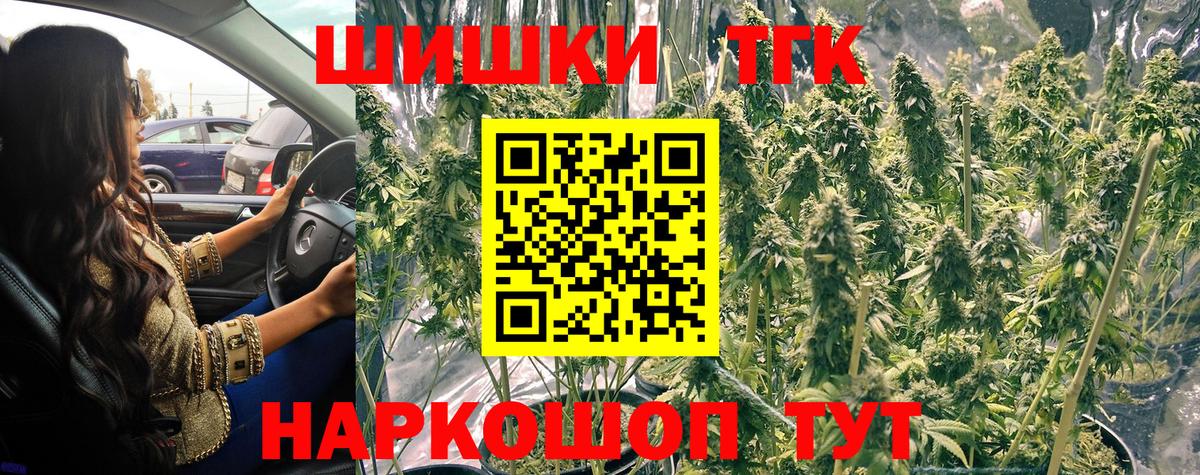 Конопля Bruce Banner  Каннабис сатива  Зерноград  Конопля Bruce Banner 